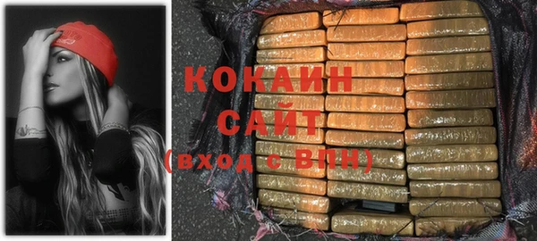 шишки Абинск