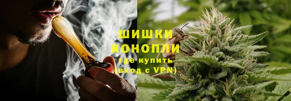 шишки Абинск