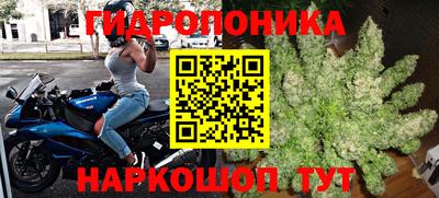 mdpv Кудрово