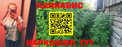 тгк Кузнецк